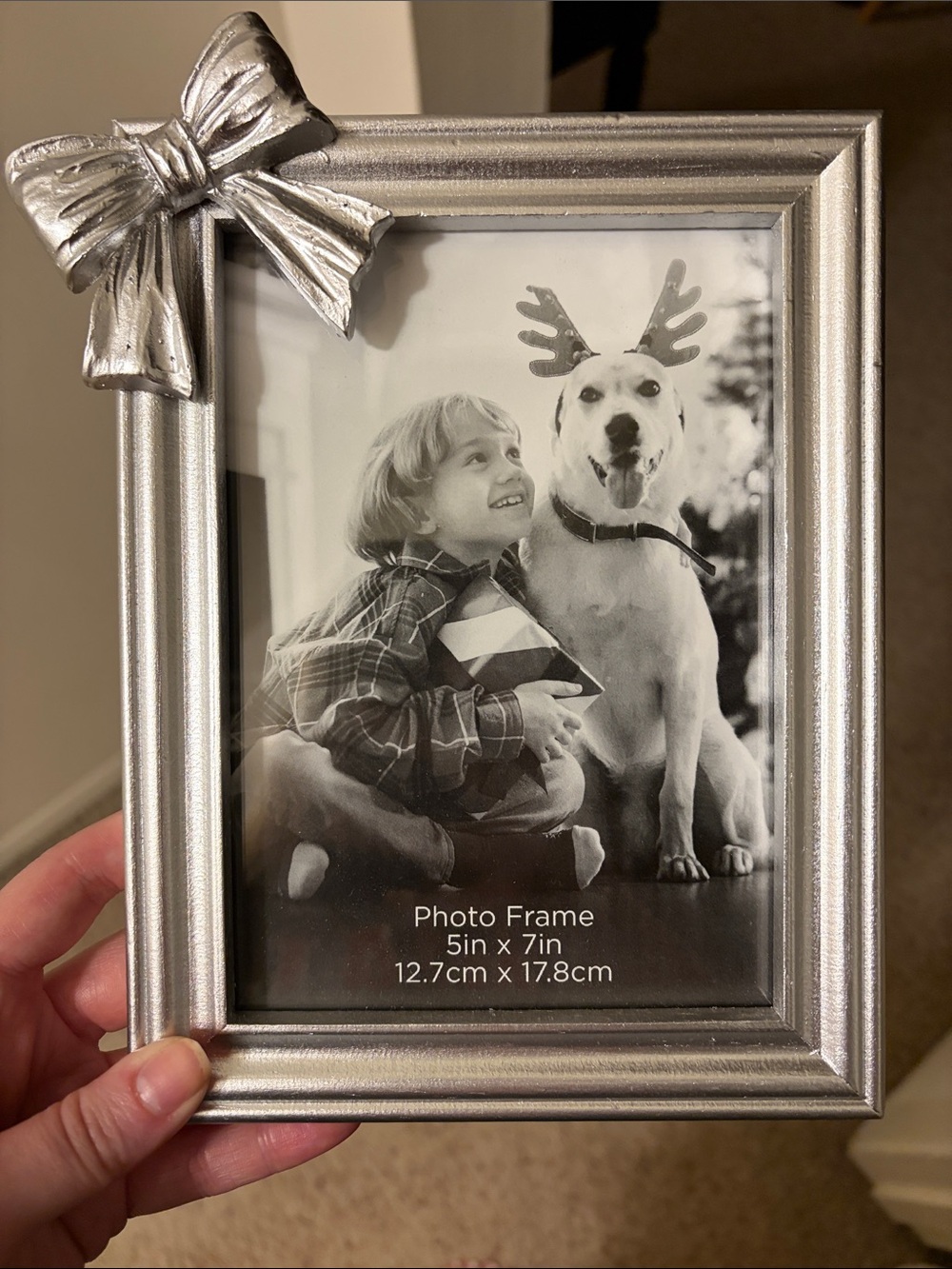 Silver Bow Accent Photo Frame - 5x7